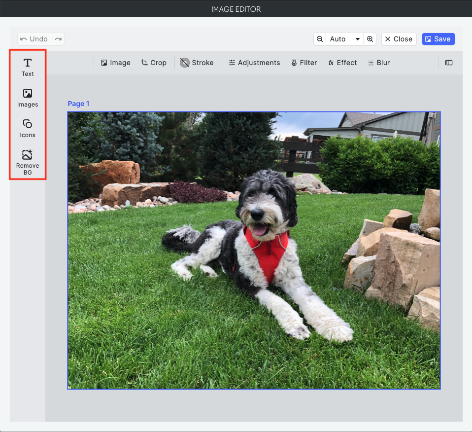 image-editor-side.png